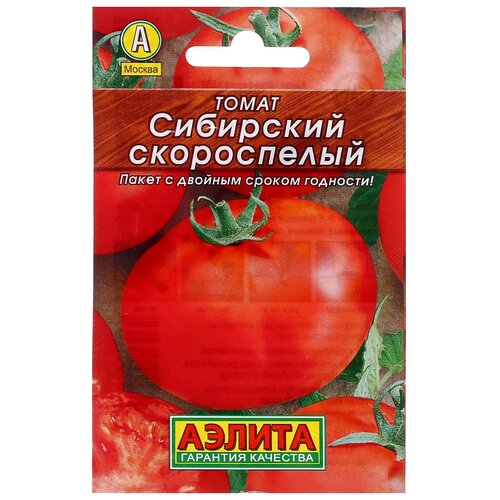 ���� ������ ����� 