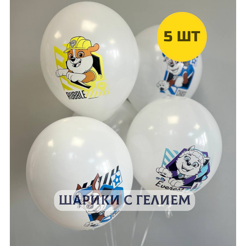 ���� ��������� ���� � ������ (�������) �� ���� �������� 