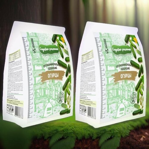 ���� ������ 500�� / 2��. ����������������� ���������. ������� �������. ������ ������