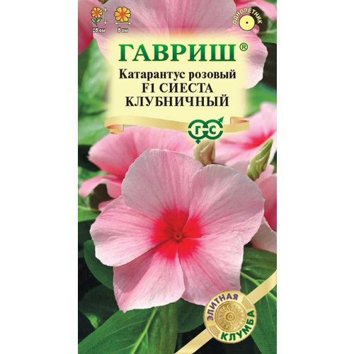 ���� ������ ���������� ������ ���������� F1 5�� ��� 25�� (������) ������� ������ ������ ������