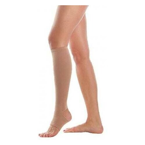 ���� ������-����� �� ���� ���� �� ������ Orto (3 ����� ����������), 503, ���� �������, ������ S ������ ������