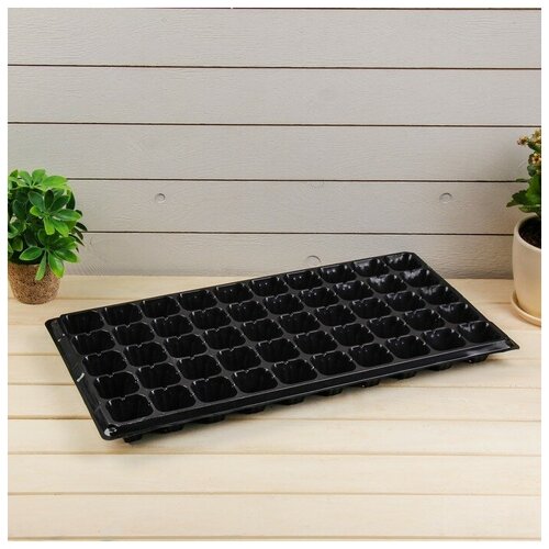 ���� ������� ��� �������, 50 ����� �� 70 ��, ������, Greengo ������ ������