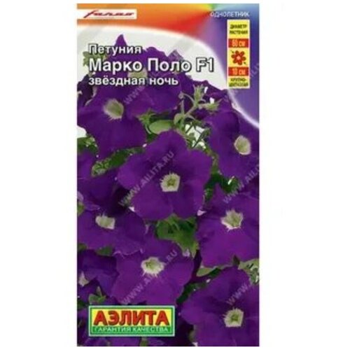 ���� ������ ������� 