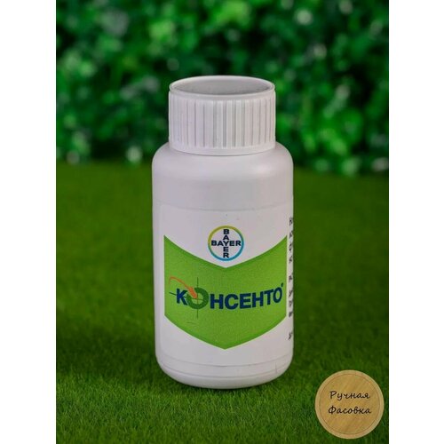 ���� �������� �������� 100 �� ������ ������