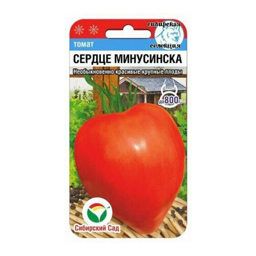 ���� ������ ����� ������ ���������� 20�� ����� (��������� ���) ������ ������