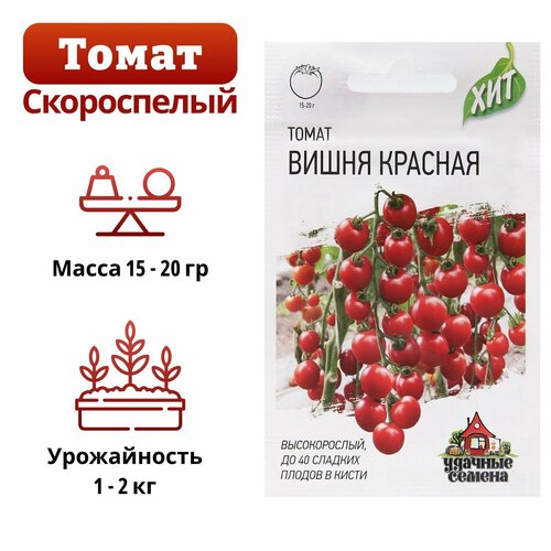 ���� ������ ����� ����� 