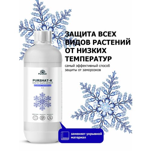 ���� �������� ������ �������� ������-� ������������� ��� ������ �������� � ������������ �� ������ ���������� ������ (Purshat) 1� ������ ������