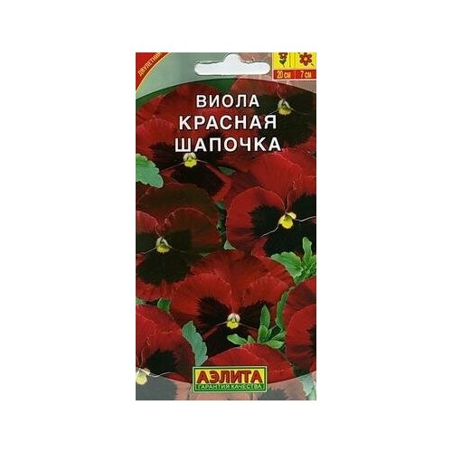 ���� ������. ����� 