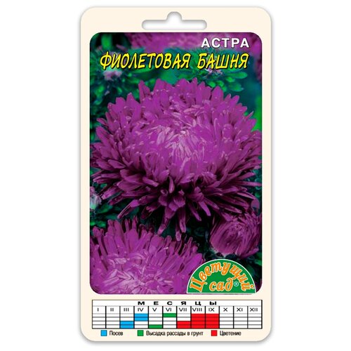 ���� ������ �������� ��� 