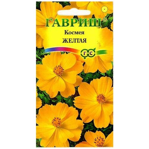 ���� ������. ������ 