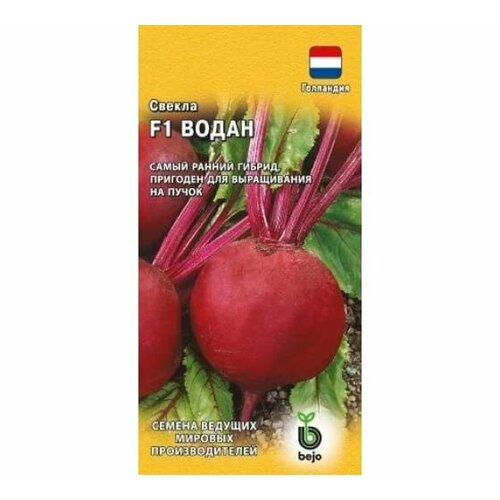 ���� ������ ������ ����� F1 1� �������� ������ (������) ������ ������