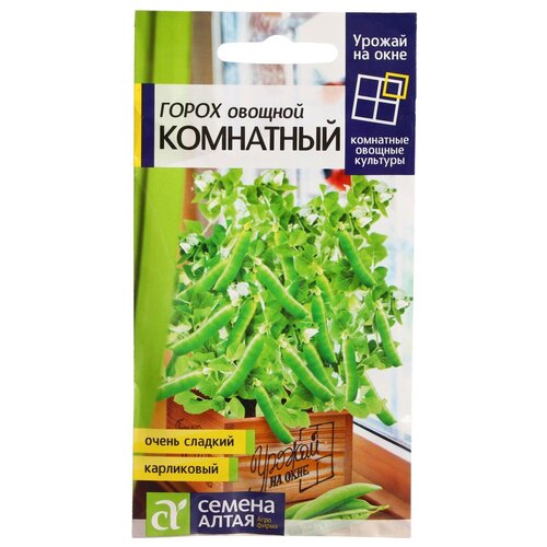 ���� ������ ����� 