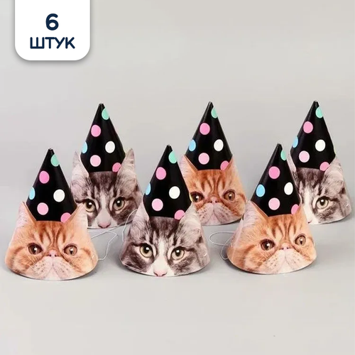 ���� ������ ������ ������������� 6��/G ������ ������