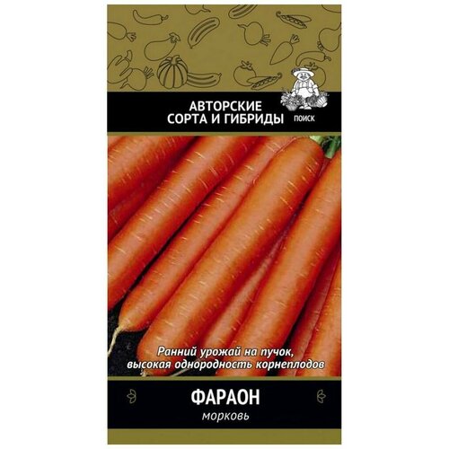 ���� ������ ������� ����� ������ 300 �� ������ ������