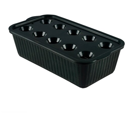 ���� ���� ��� ����������� �������� ���� ������������, 10 �����, �����-������� ������ ������