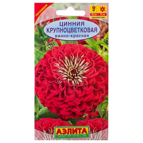 ���� ������ �����-������� 