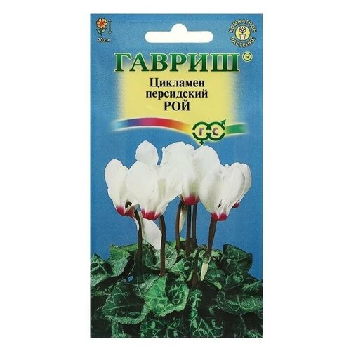 ���� ������ ������ �������� ���������� ��� 3 ��., 10 ��. ������ ������