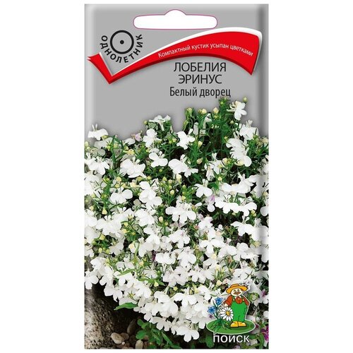 ���� ������ ������� ������ ����� ������ ���������� 0,1 ��. ������ ������