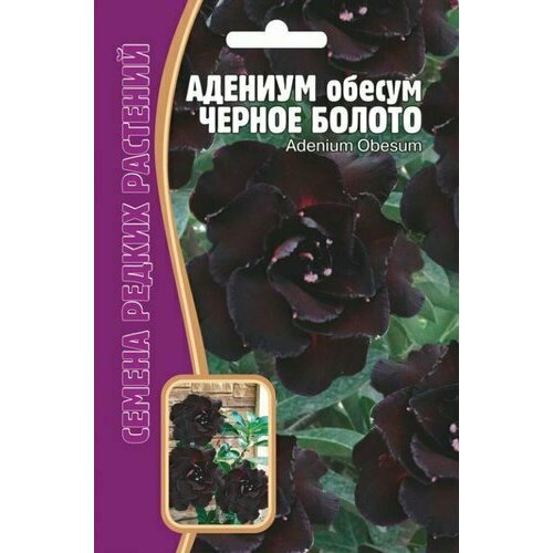 ���� ������ ������� 