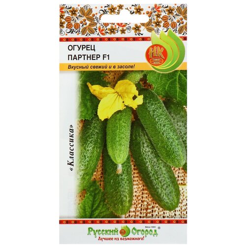 ���� ������ ������ 