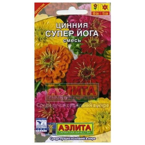 ���� ������. ������ 