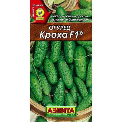 ���� ������ ������ ����� F1 (������) 10�� ������ ������