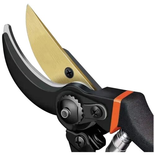 ���� ������� �����������, ������������ �������� (��� �������) ������ ������