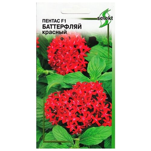 ���� ������ F1 ����������, ������� , 3 ����� ������ ������