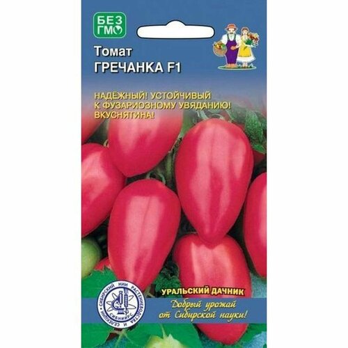 ���� ������ ����� �������� F1, ������������, 12�� ������ ������