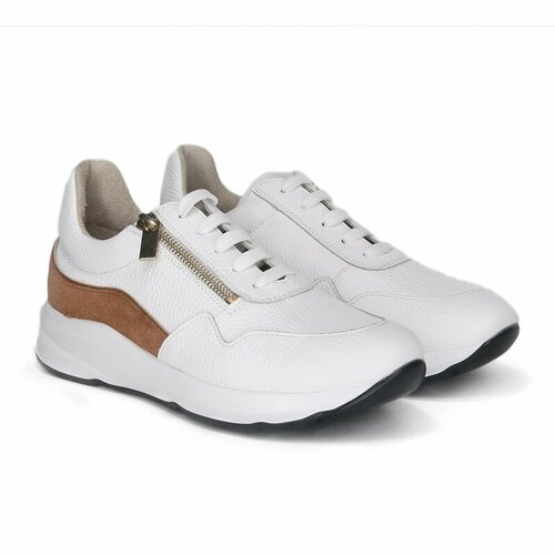 ���� ����� Dr. SPEKTOR ������� (�/�������) ���.0416-400-641-221-24� ����� �.37 ������ ������