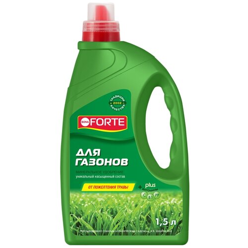 ���� ��������� BONA FORTE ��� �������, 1.5 �, 1960 �, 1 ��. ������ ������