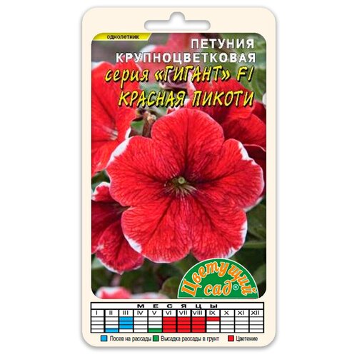 ���� ����� ������� ��������������� ������ ������� ������ F1 (������ �������� ��� 10 ��. � ������) ������ ������