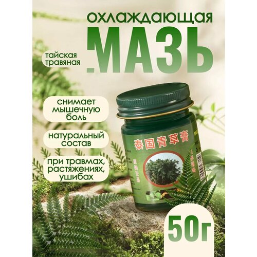 ���� ���� ���� �������������� ����������� ������ ������