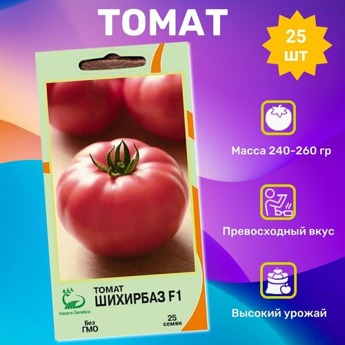 ���� ������ ������ �������� F1 25��. ���������� �������� ������ ������