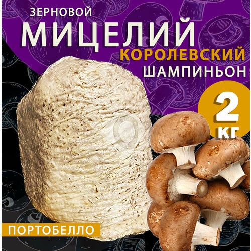 ���� ������� ���������� ������������ ���������� ��������, ������ ������ - 2 �� ������ ������