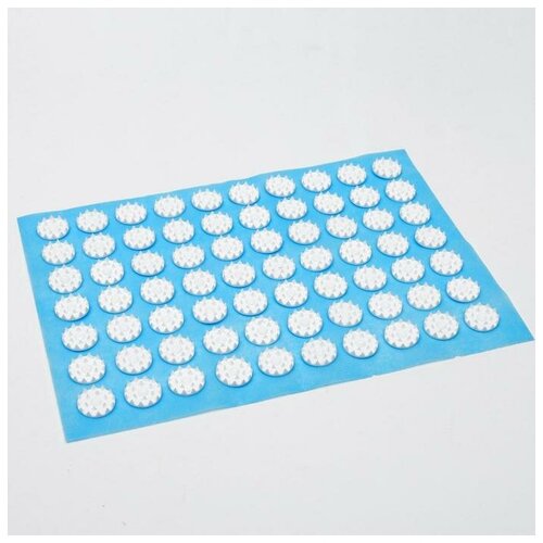 ���� ���������� 