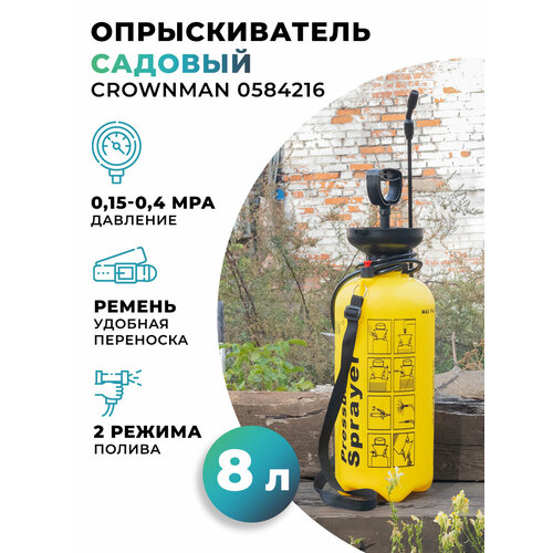 ���� ������������� ������� �������� 8� ������ ������