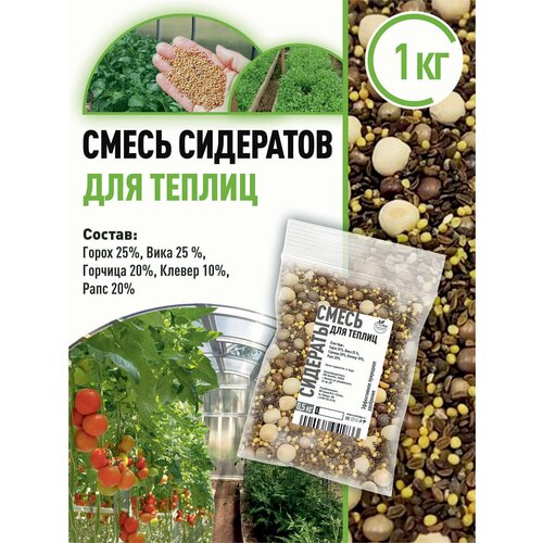 ���� ����� ��������� ��� ������ 1 �� ������ ������