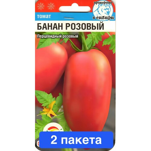 ���� ������ ������ ��������� ��� 