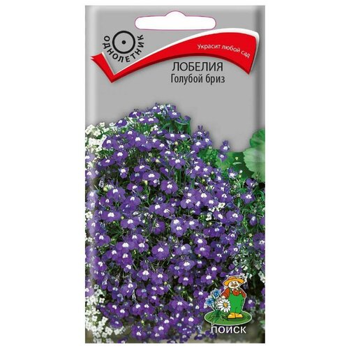 ���� ������ ����� ������� ������� ���� 0.1 � ������ ������