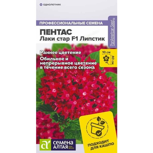 ���� ������ ������ ���� ���� F1 ������� ������������� 3�� ��� 40�� (������ �����) ������ ������