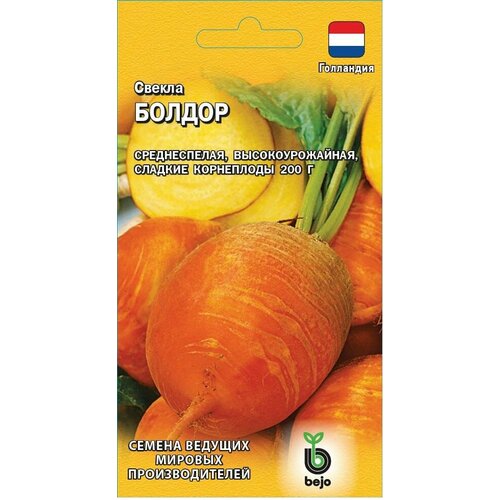 ���� ������ ������ ������ 1� (���������) �19 ������ ������