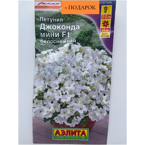 ���� ������� �������� F1 ���� ����������� ~ 7 ����� ������ ������