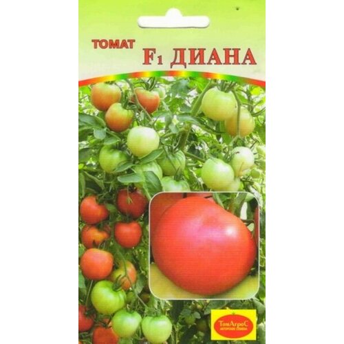 ���� ������ ����� ����� F1 (�����) ������ ������