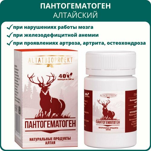 ���� �������������� ���������, 40 ������. ��� ������ �����, ��������� ������, ������������, ����������� ��� ��������� ������ ������