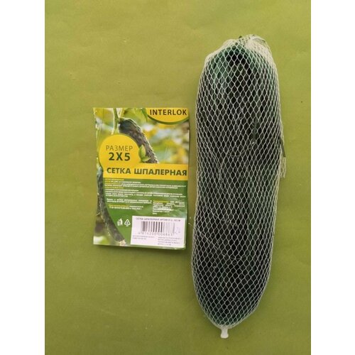 ���� ����� ��������� ������� 2 � 5 �. ������ ������