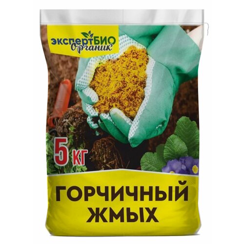 ���� ��������� ��������� ���� ��������� ��� �������� ������� � ���� ������ ������