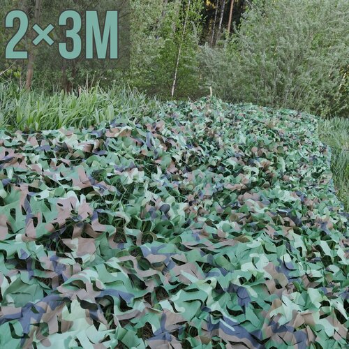 ���� ������������� ���� 2?3 � ����������� � ������� ������ ������