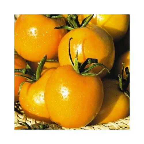 ���� ������ ����� �� ����� ������� 20�� ����� ������� (����time) ������ ������