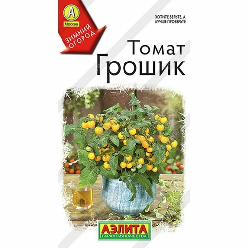 ���� ������ ����� ������ (������) 10�� ������ ������ ������ ������